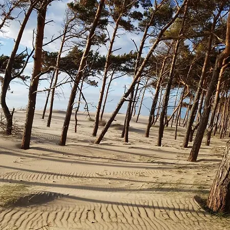 Apartmán Rajska Plaza Basen Odkryty Brodziki Basen Kryty Plac Zabaw Animacje Poddąbie