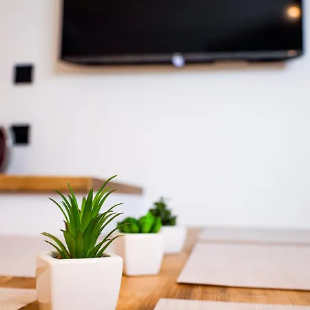 Rajska Plaza Basen Odkryty Brodziki Basen Kryty Plac Zabaw Animacje * Poddąbie