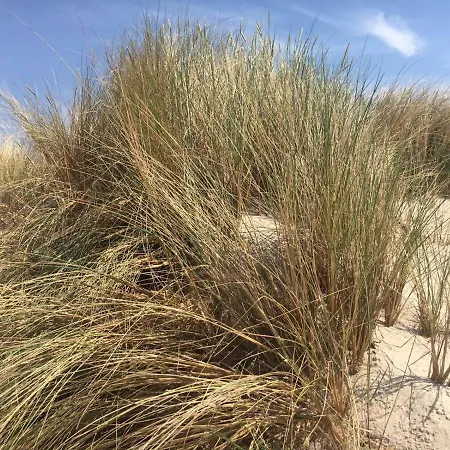 Rajska Plaza Basen Odkryty Brodziki Basen Kryty Plac Zabaw Animacje Apartament *