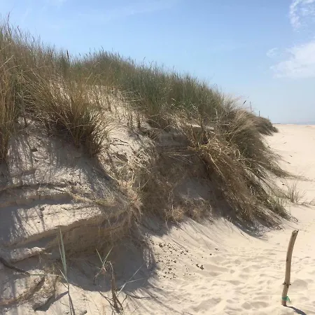 Rajska Plaza Basen Odkryty Brodziki Basen Kryty Plac Zabaw Animacje *