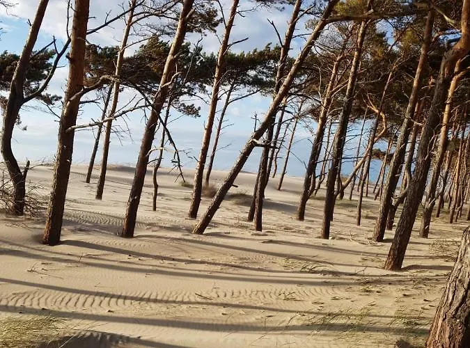 Daire Rajska Plaza Basen Odkryty Brodziki Basen Kryty Plac Zabaw Animacje Poddąbie