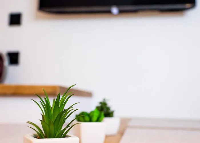 Rajska Plaza Basen Odkryty Brodziki Basen Kryty Plac Zabaw Animacje * Poddąbie