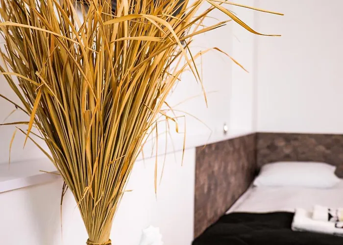 Rajska Plaza Basen Odkryty Brodziki Basen Kryty Plac Zabaw Animacje Daire