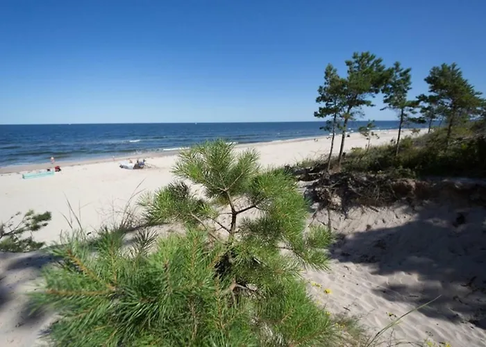 Daire Rajska Plaza Basen Odkryty Brodziki Basen Kryty Plac Zabaw Animacje