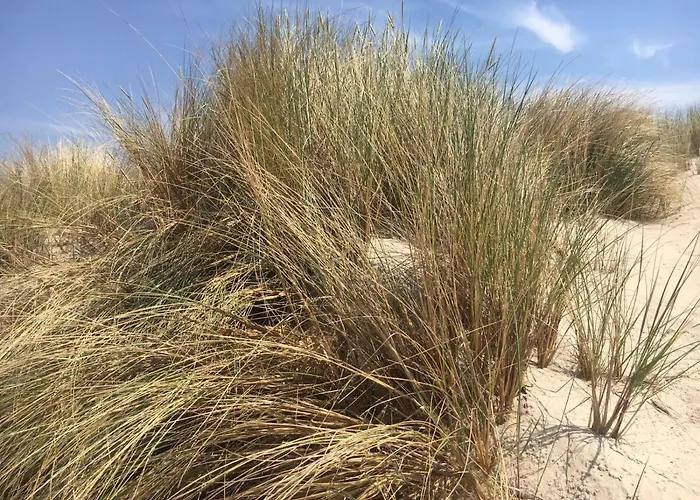 Rajska Plaza Basen Odkryty Brodziki Basen Kryty Plac Zabaw Animacje Daire *