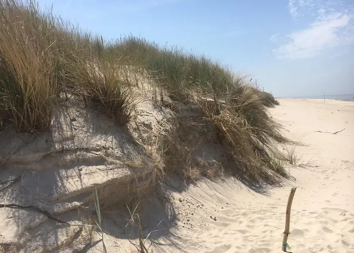 Rajska Plaza Basen Odkryty Brodziki Basen Kryty Plac Zabaw Animacje *